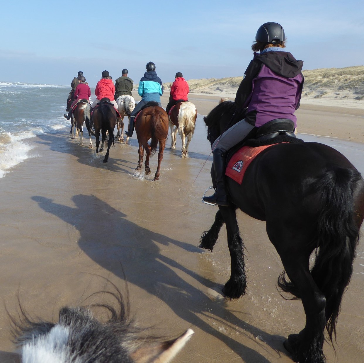 Egmond21