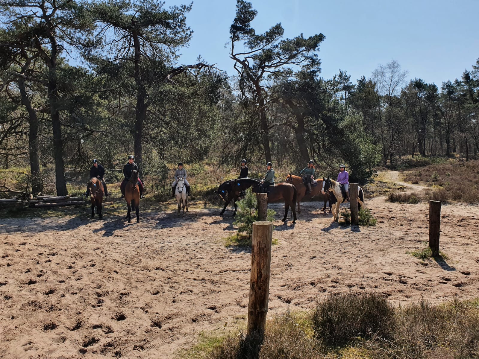 El Dorado Groep 3