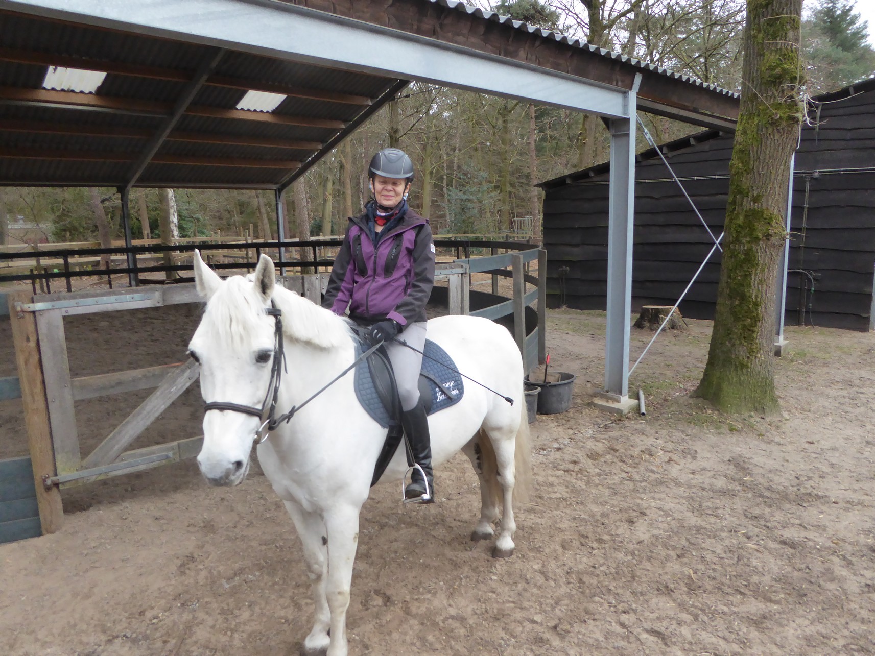 Zeisterbos01
