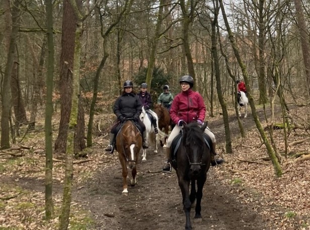 Zeisterbos12