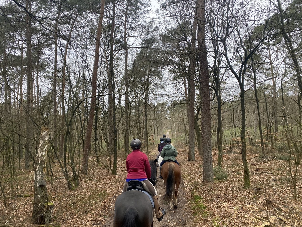Zeisterbos19